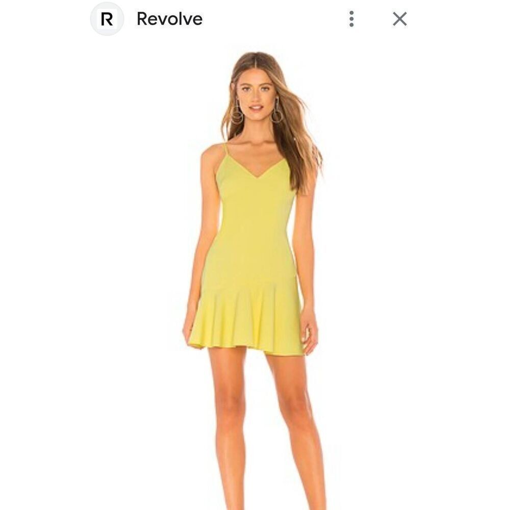 Lover + Friend Ruffle Mini Dress S